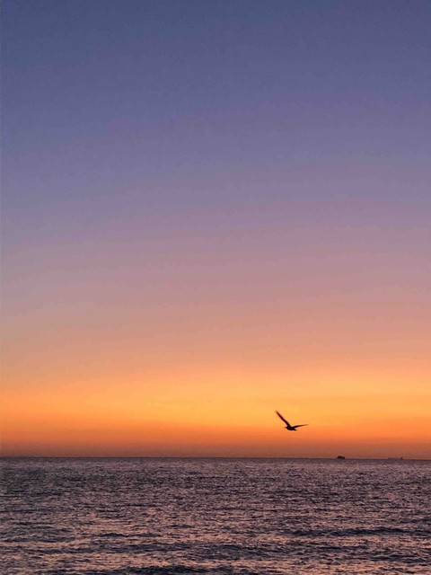 ocean