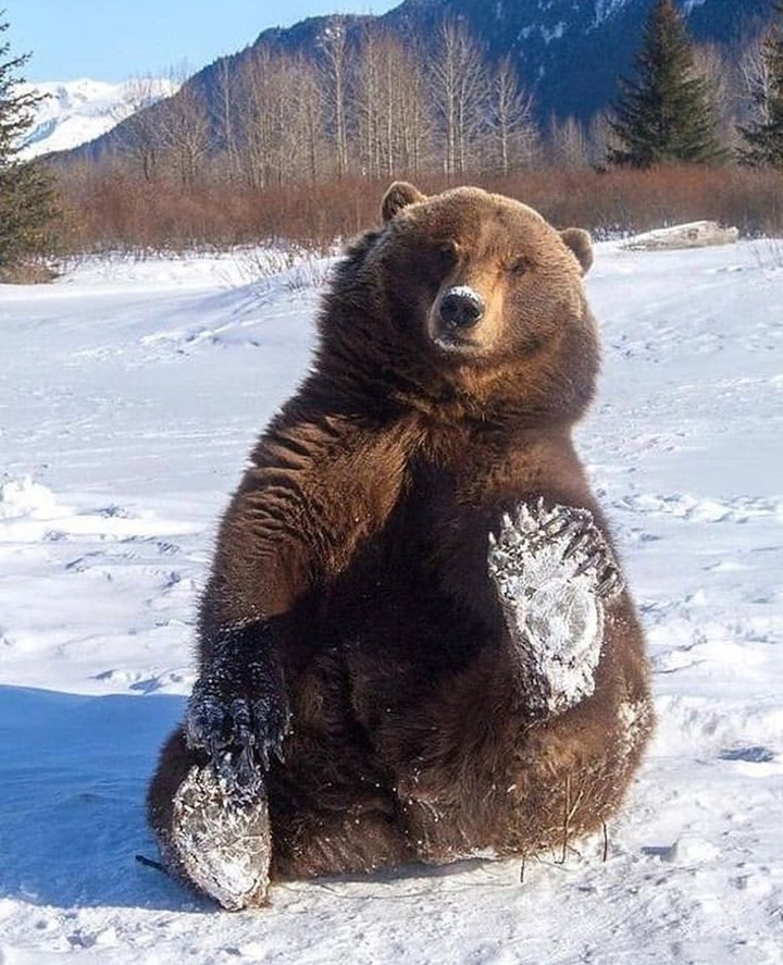 balu