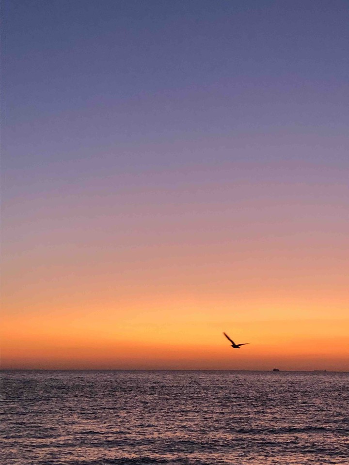 ocean
