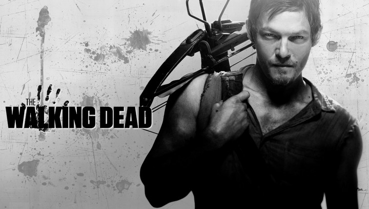 TWD  idol Daryl Dixon