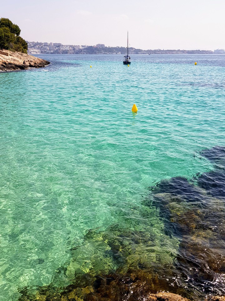 Palma de mallorca