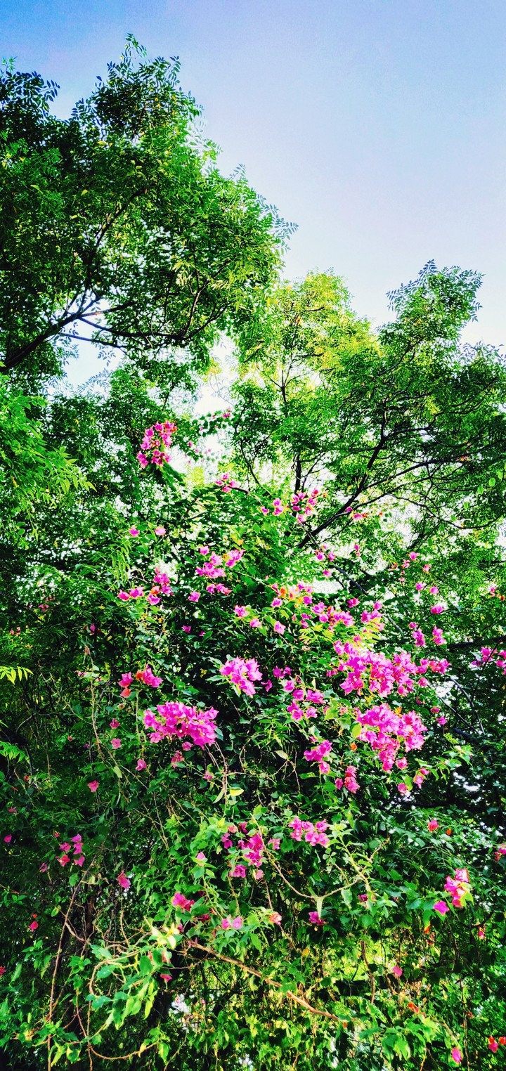 #colours