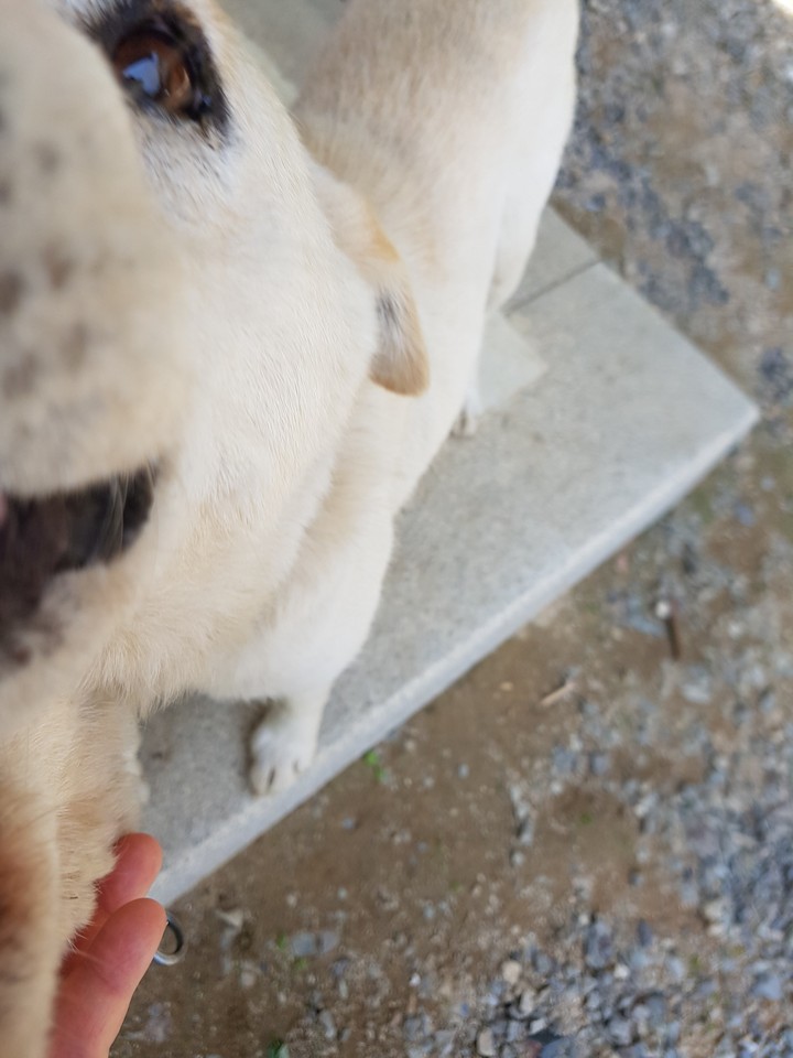 뭘까?