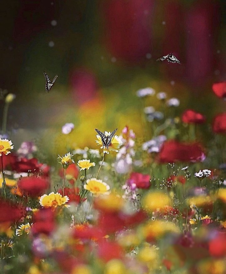 lovely day...