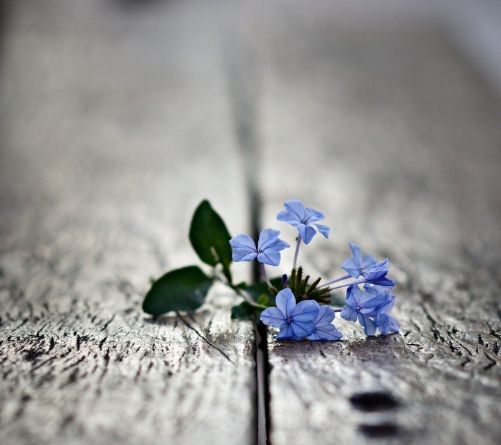 blue
