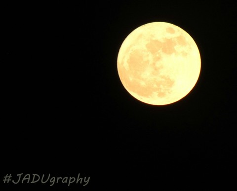 Moon