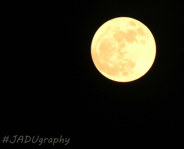 Moon