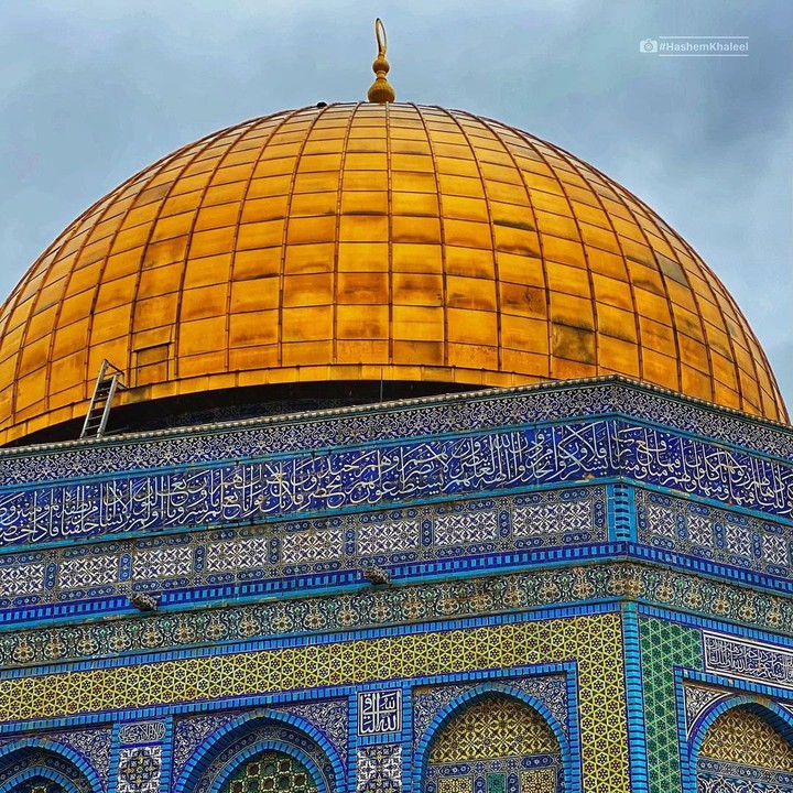 ‏أنا الأنوارُ مشرعةٌ  ??❤️
أنا التاريخُ والأمجادُ والحاضر