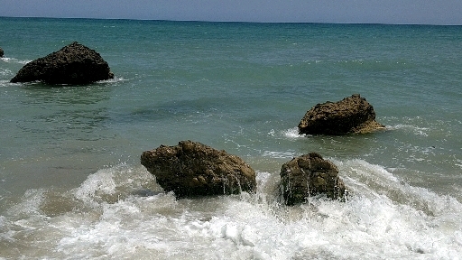 mare