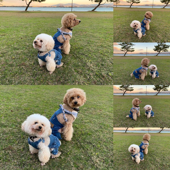 Lucky & Money