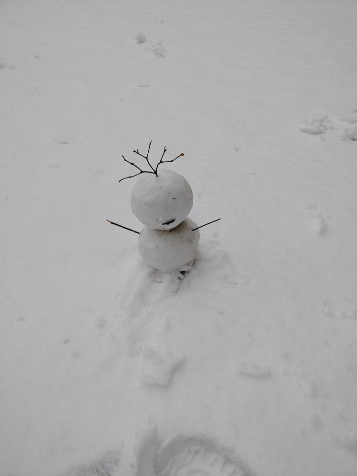 snowman ☃