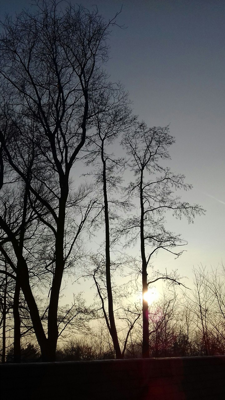 three