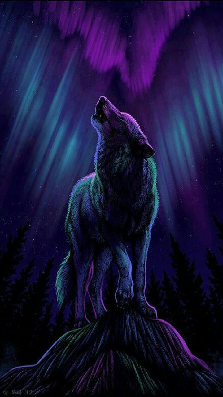 wolf
