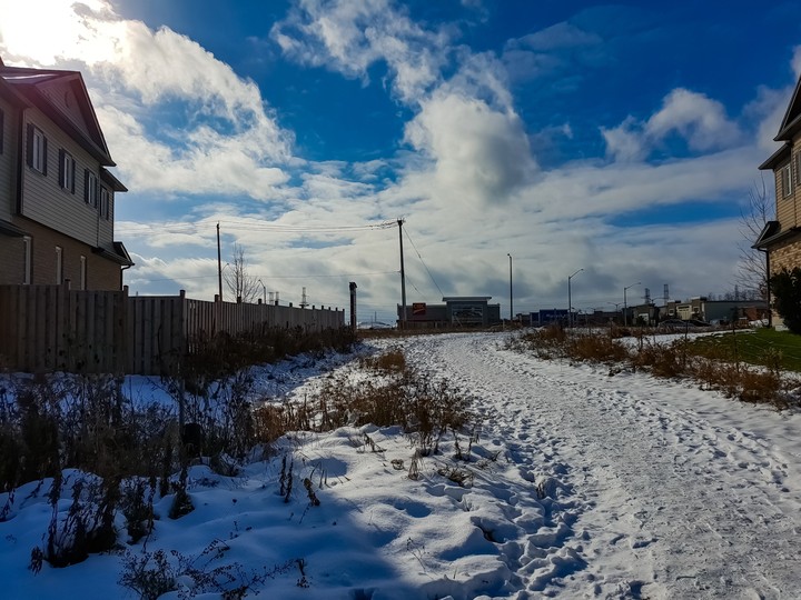 Ray of Warmth in brutal cold