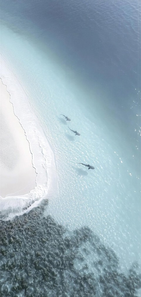 fondos de pantalla beach, shoal