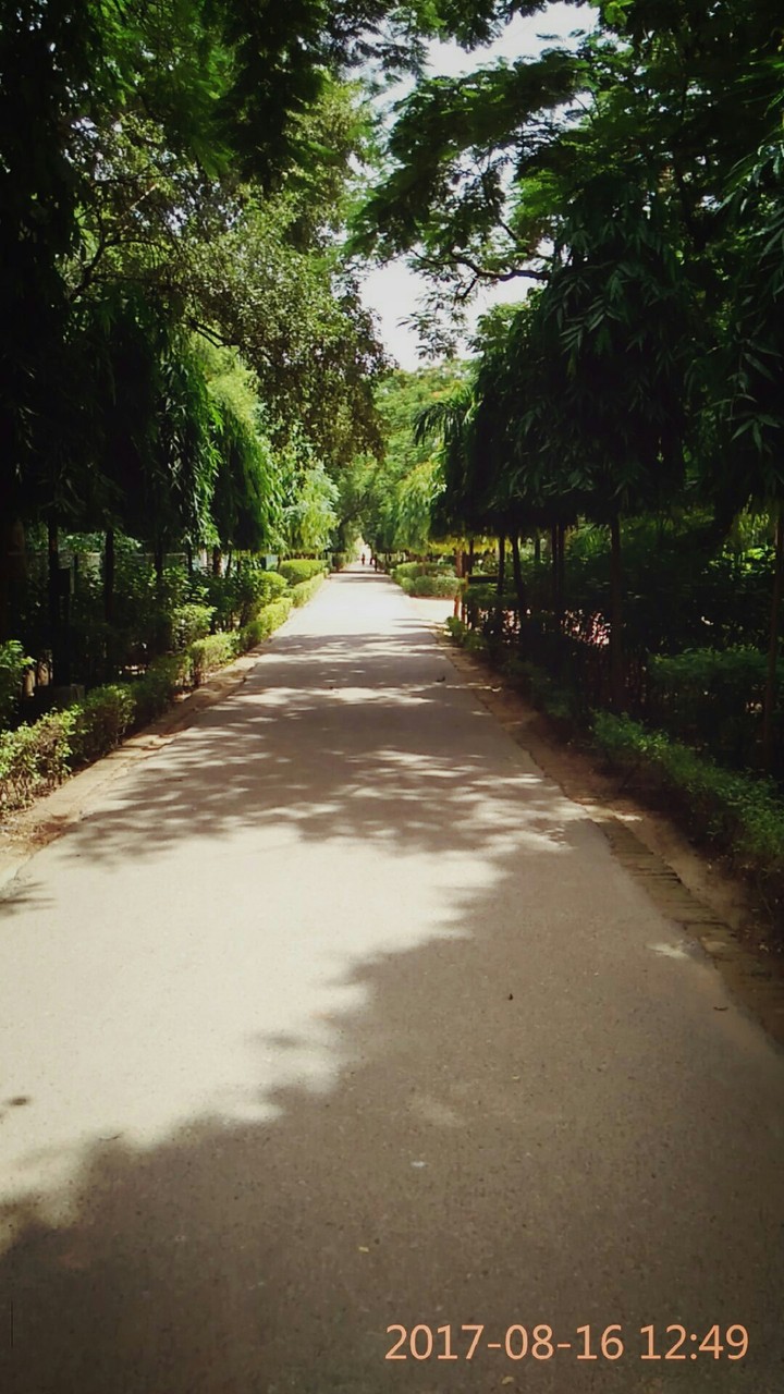 park