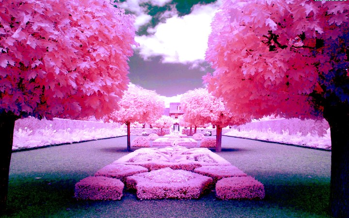 Best wiew