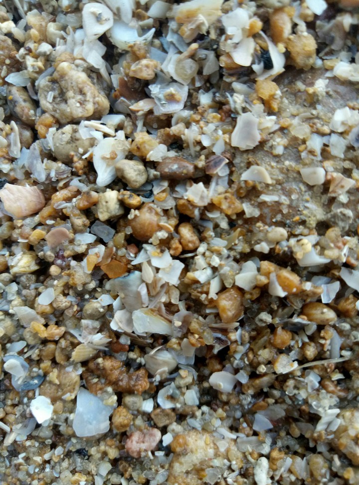 coast