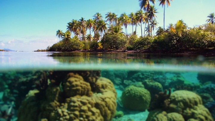 Beautiful nature
