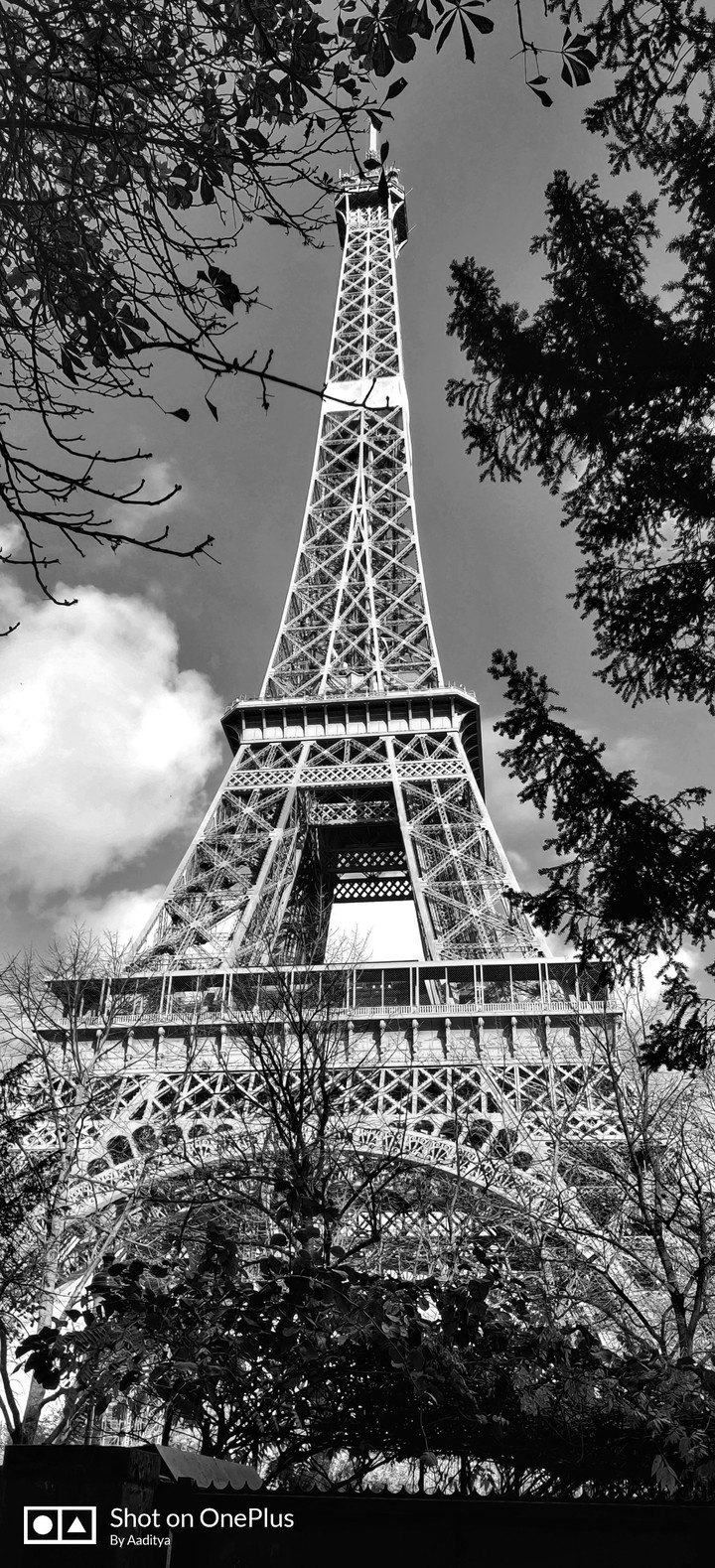 The beautiful Eiffel Tower