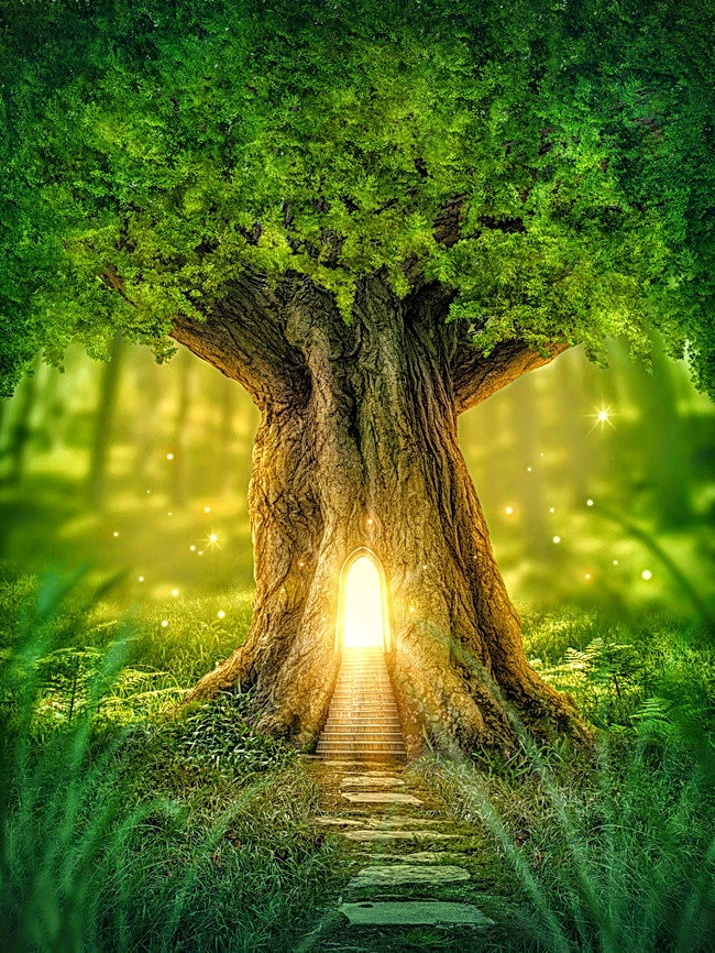 nature