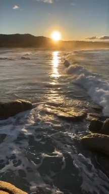 Nature.