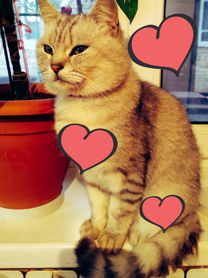❤️