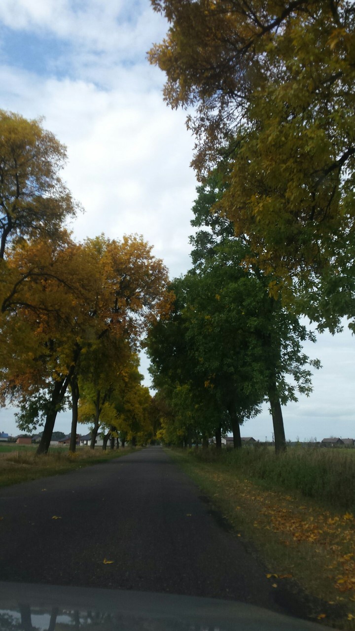 golden travel