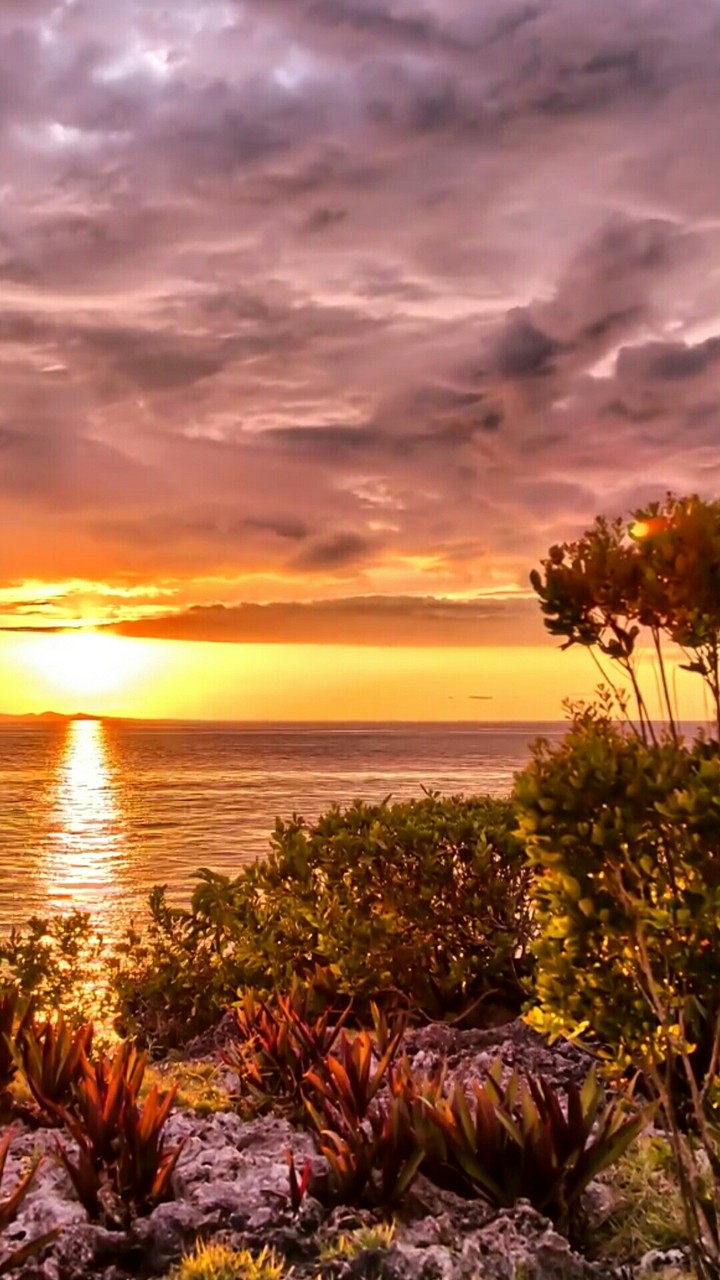 Sunrise