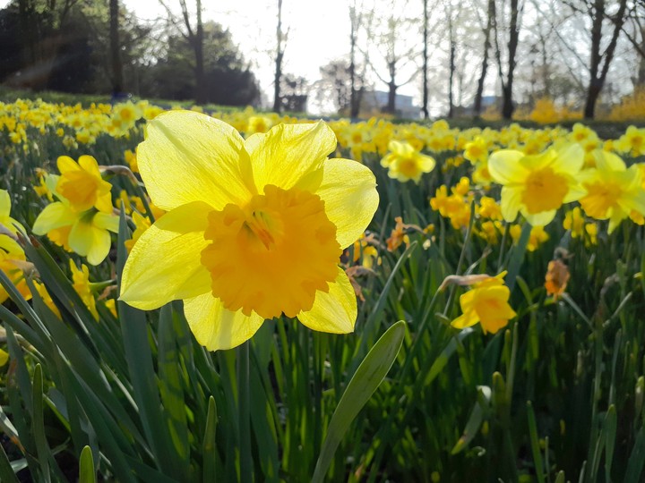 spring!