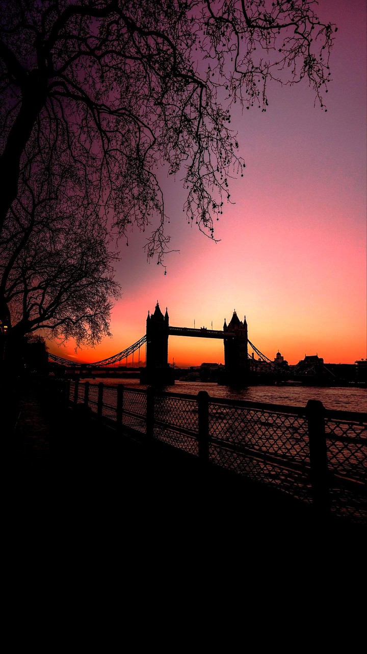 Beautiful Backgrounds