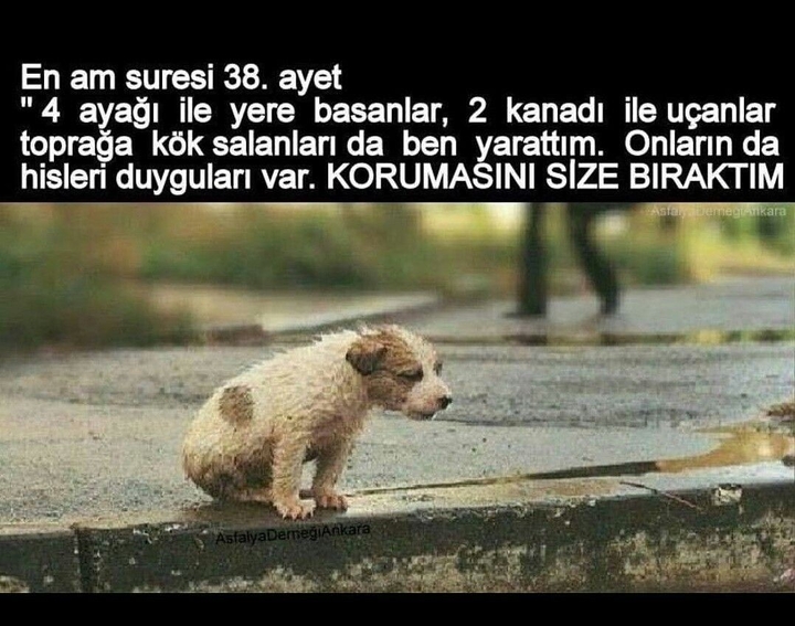 kur'andan