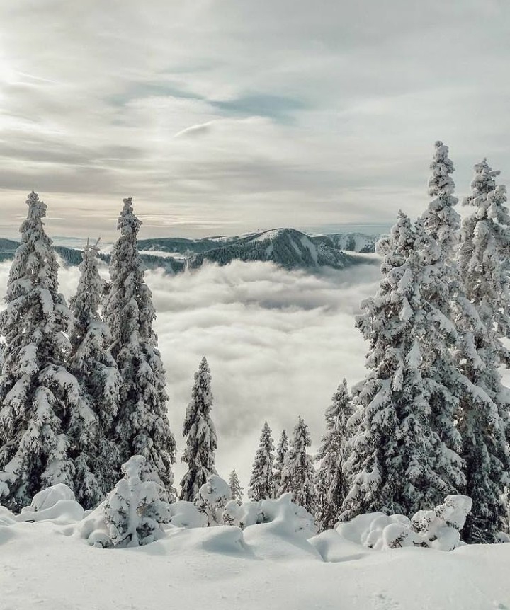 Winter