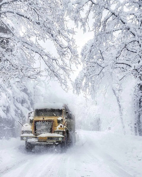 Winter