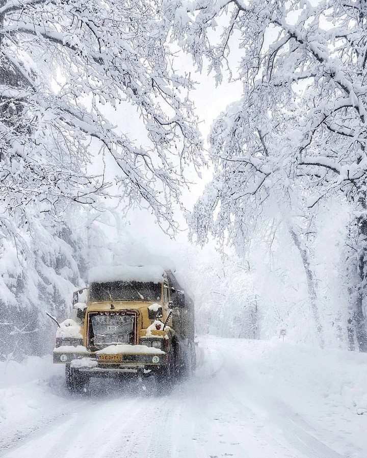 Winter