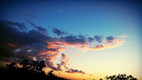 dream
