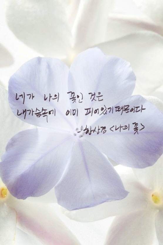 한상경(나의꽃)
