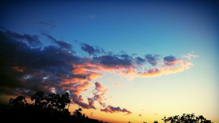 dream