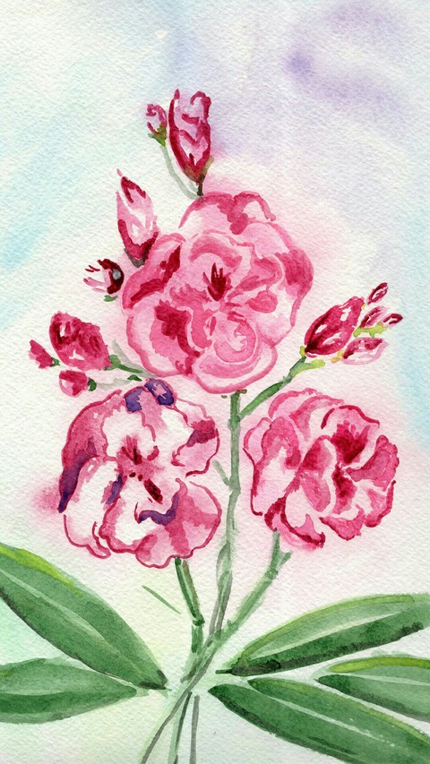 тапети plant, pink