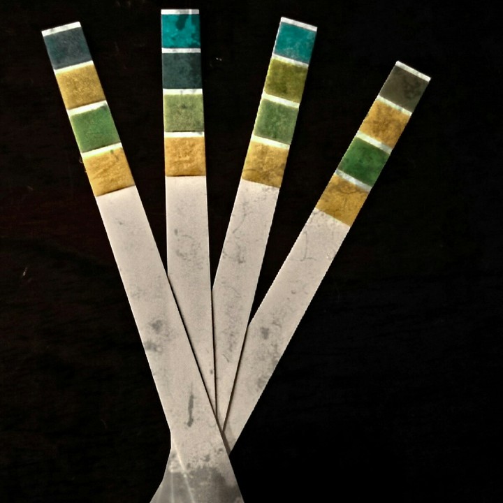 ph paper