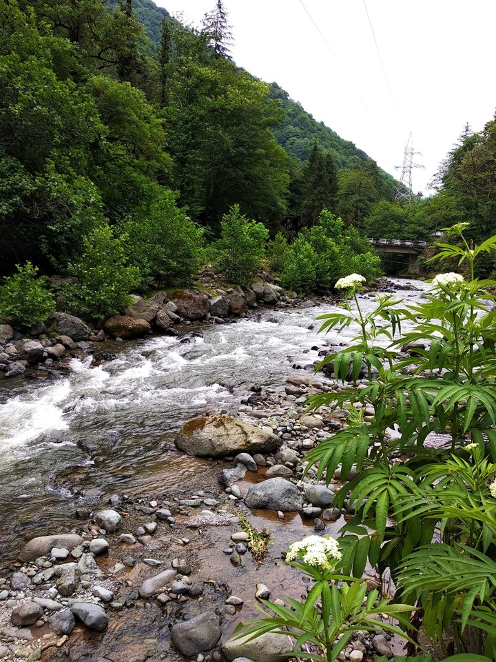 Mountain river