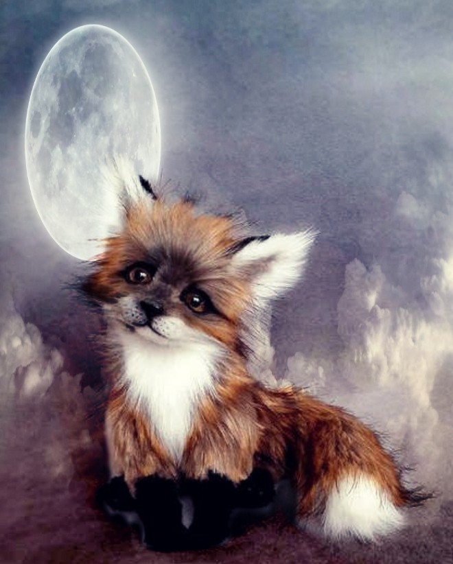 Moon Fox