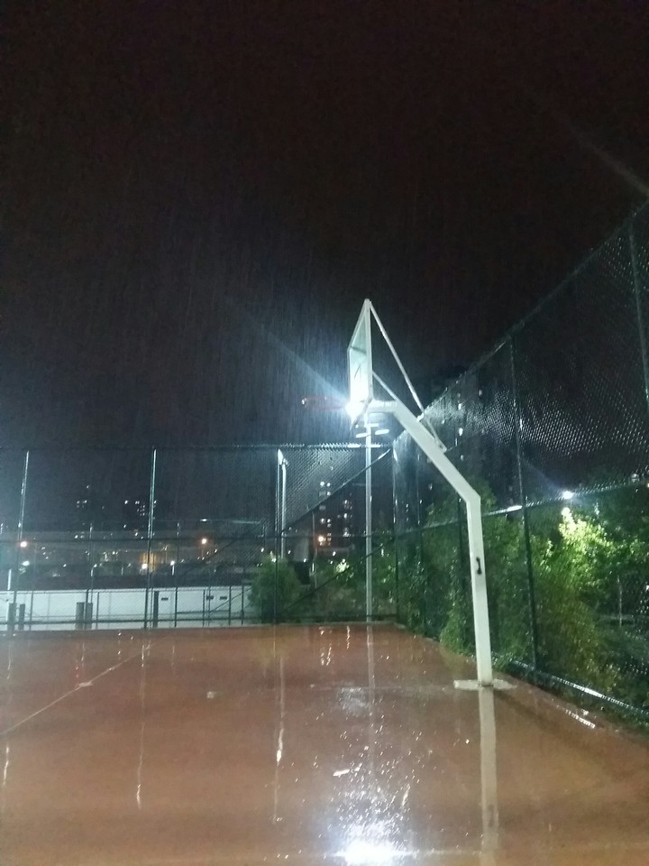 rainyDaily