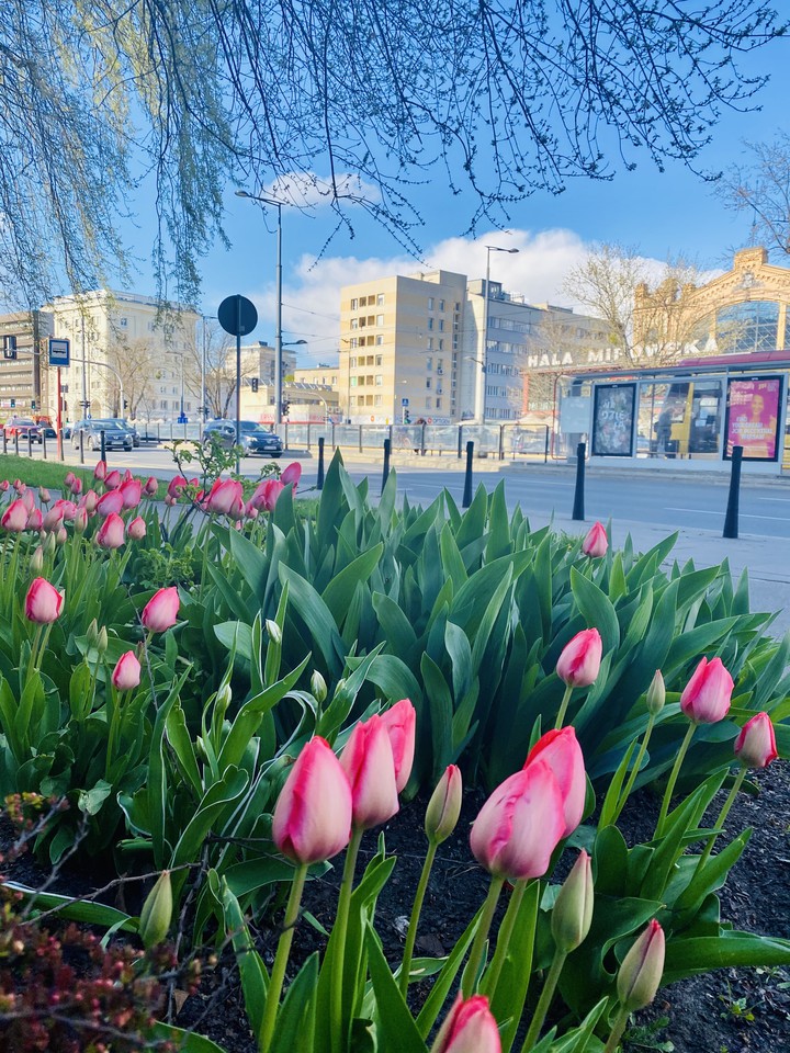 Warszawa