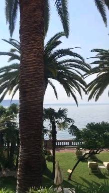 P❤ Garda lake