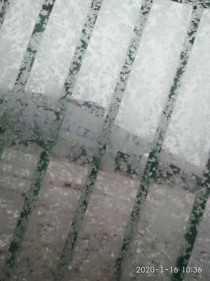 freezed window