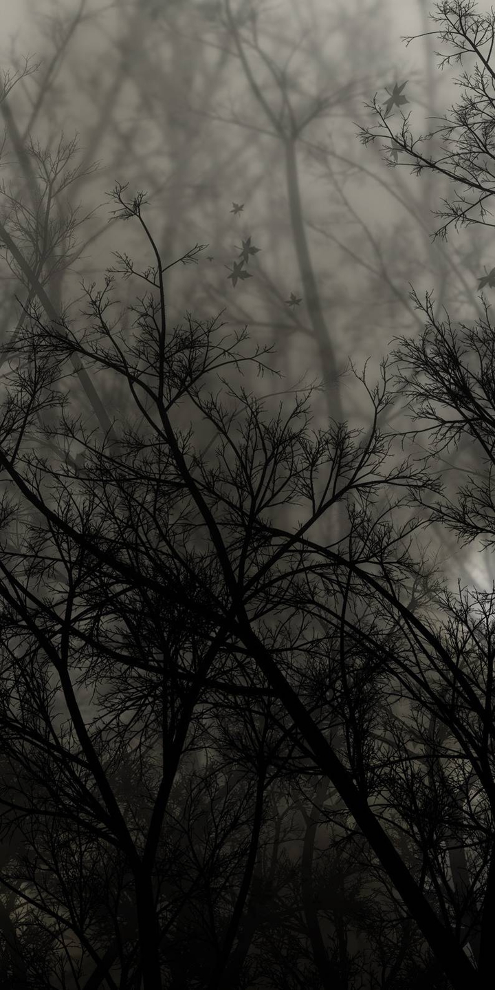 #nature