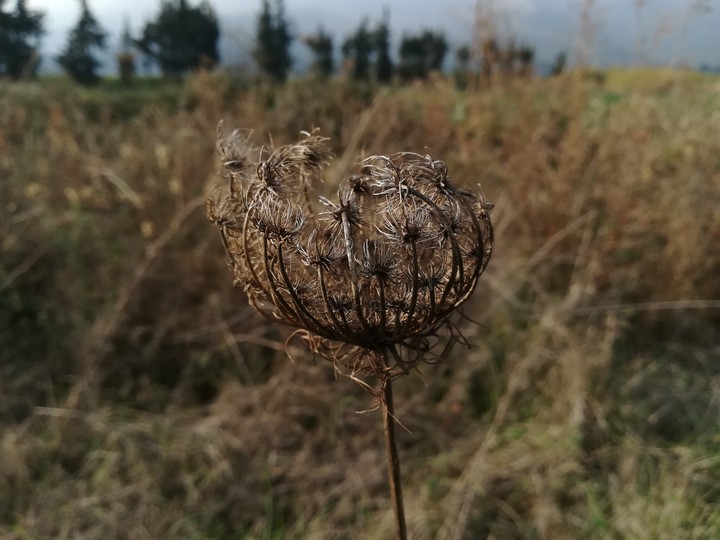 ..