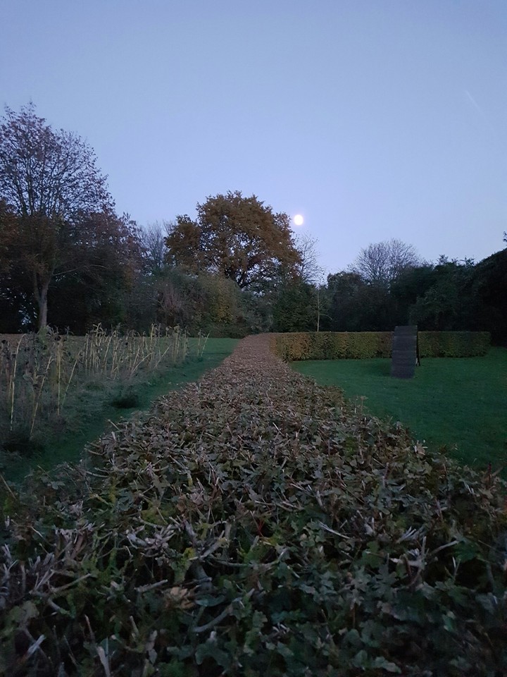 the park at night