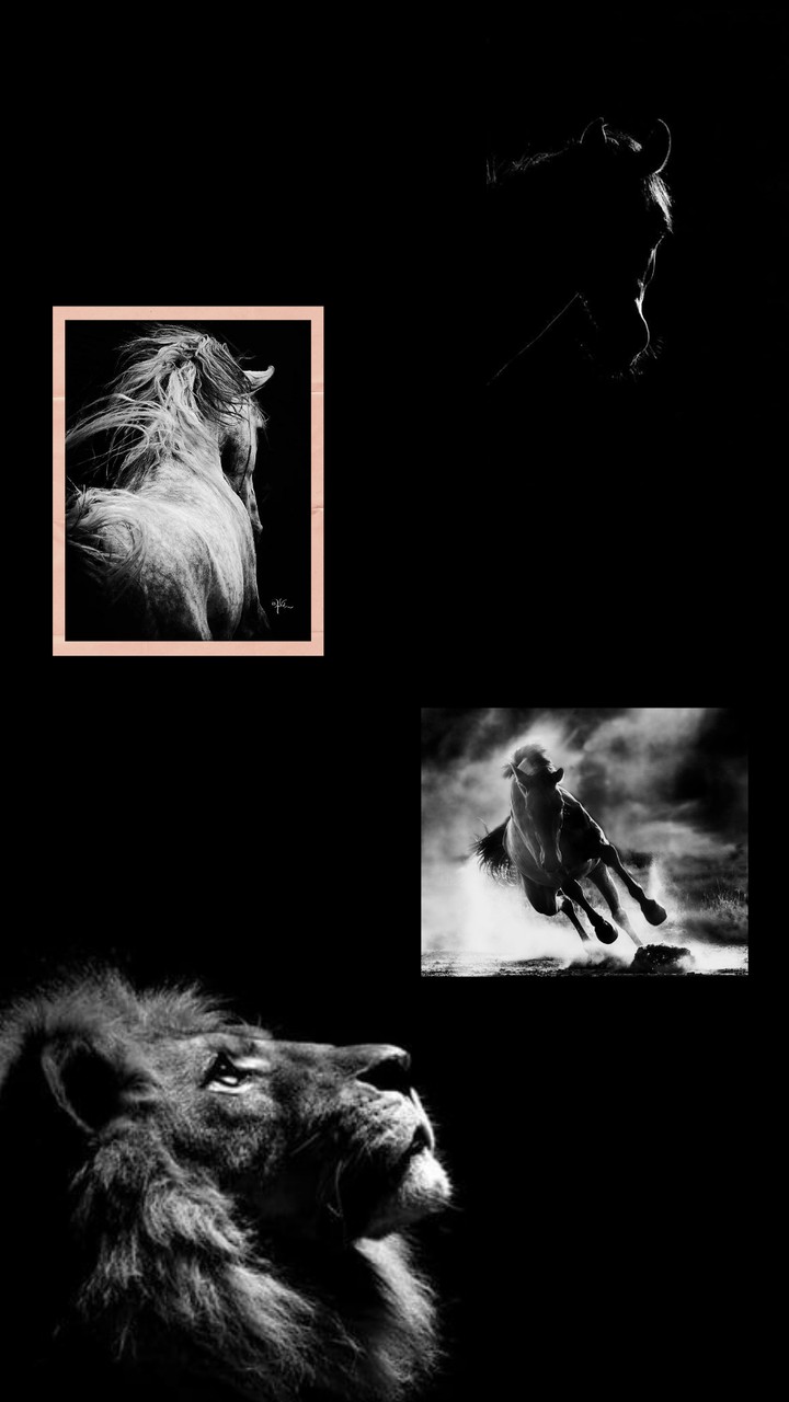 Animals